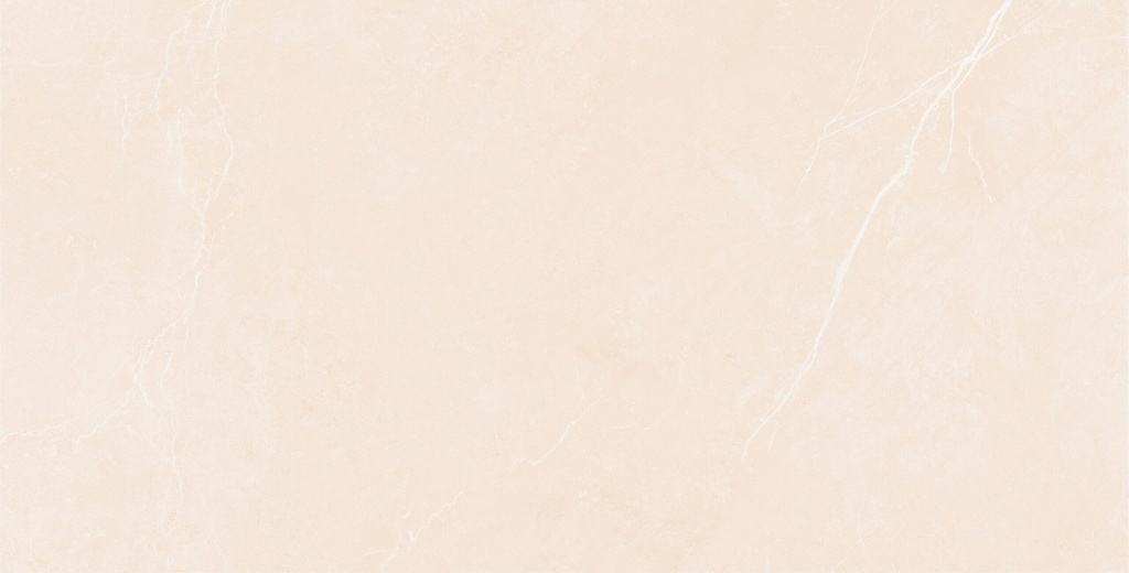 MH3162-60*120 -Falkand- B-120053-Riyadh Porcelin