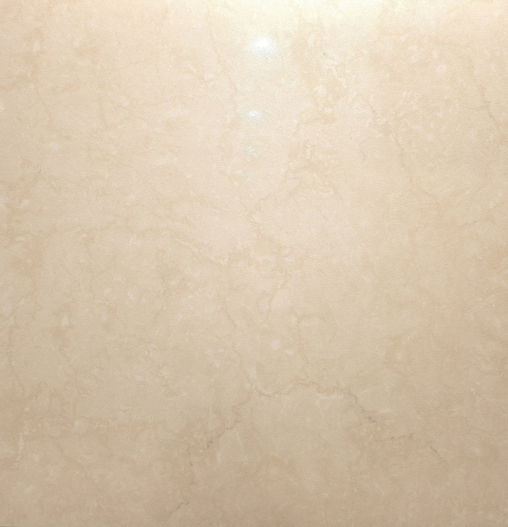MH3169 -60*60*1.1 EFD61L230265- Rotal N-Fnar Porcelin