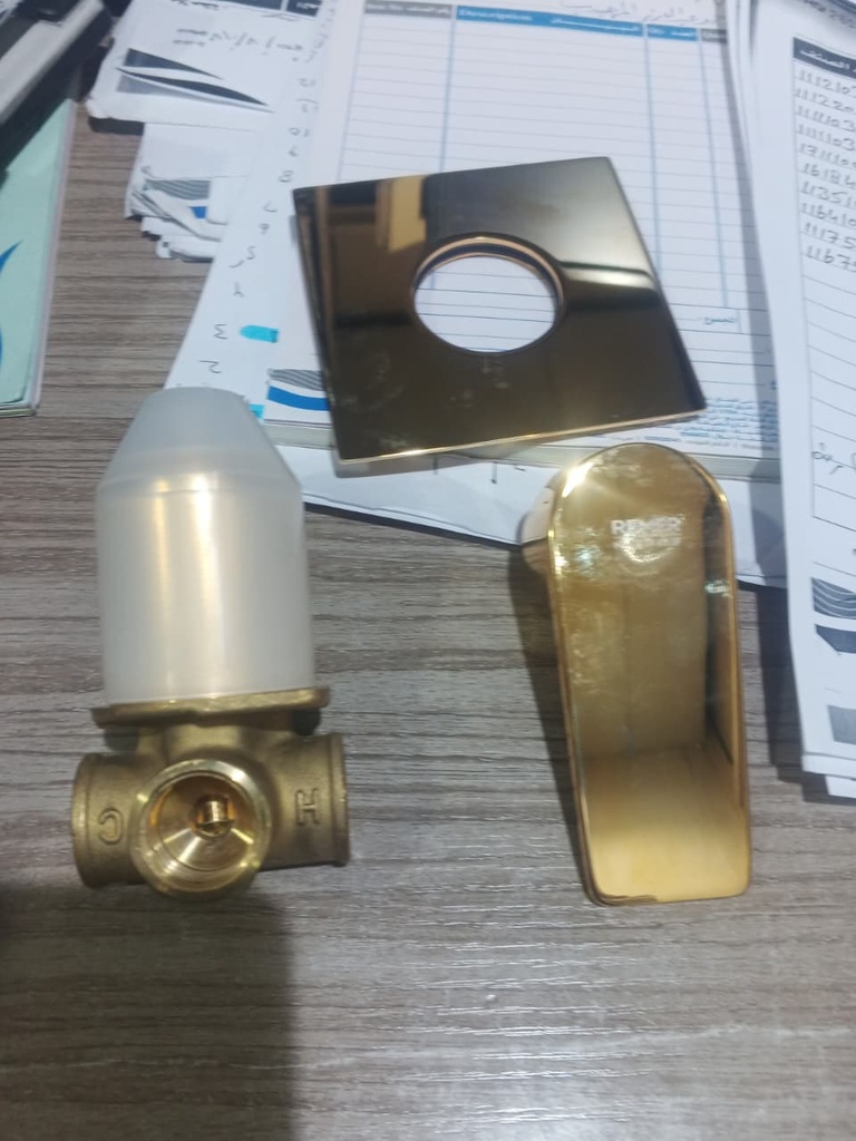 خلاط دش D30DO DREAM ايطالي REMER ذهبي لامع 