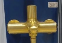 خلاط دش RFU610LT8 FUSION ايطالي REMER ذهبي مطفي